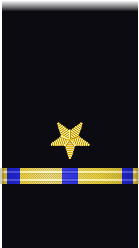 sleeve insignia