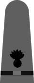 shoulder insignia